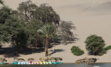 FULL DAY PARACAS-HUACACHINA
