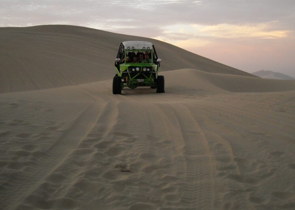 FULL DAY PARACAS-HUACACHINA - (9)