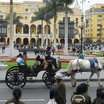 LIMA