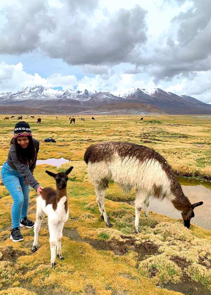 RESERVA NACIONAL DE SALINAS (FULL DAY) - (4)