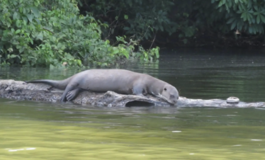TAMBOPATA 2 DÍAS