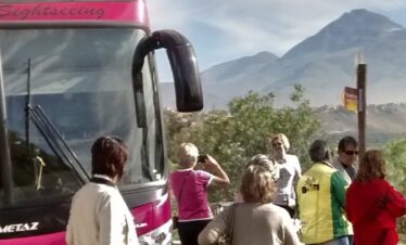 TOUR CAMPIÑA EN BUS PANORÁMICO (MIRABUS)