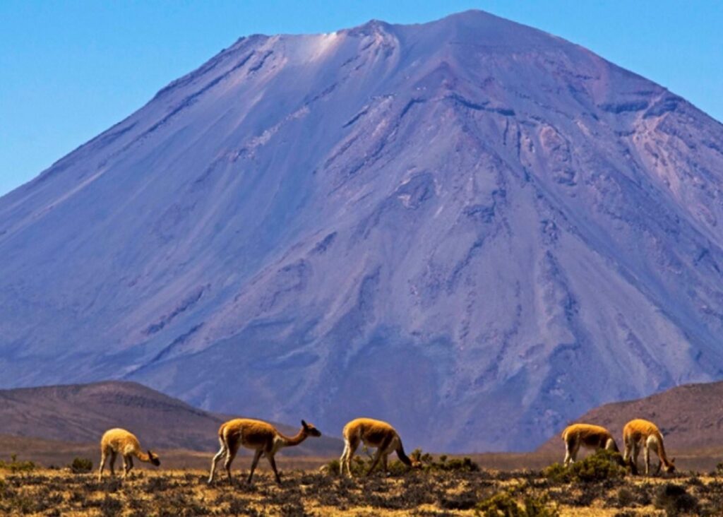 TOUR DE CAÑON DE COLCA - 2D y 1N - (2)